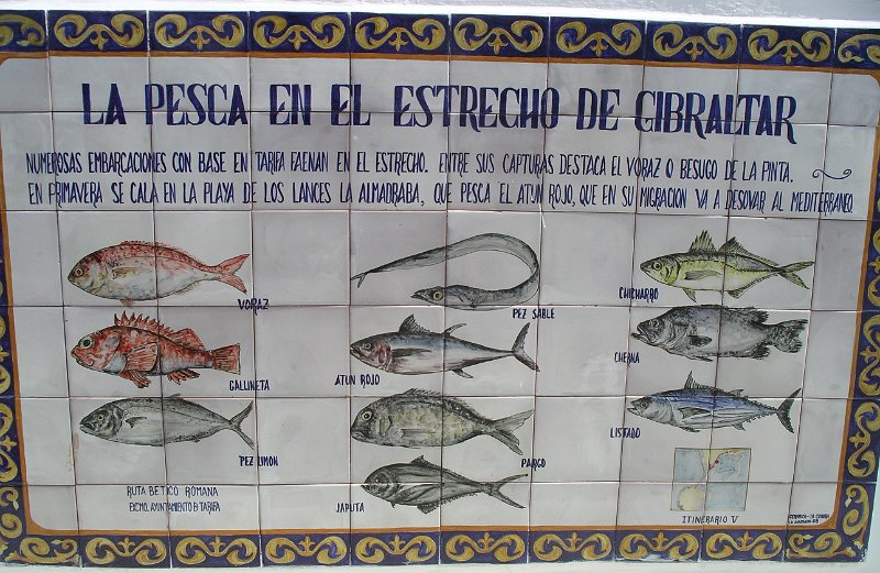 Andalusie 2011 017 (4).JPG
